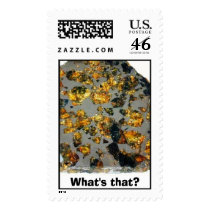 What's that? postage