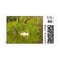 whats the catch??? stamp