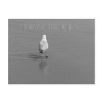 What's the Point? postcards by dduhaime55 What's the Point? postcards