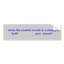 whats the smalest muscle in a sheeps butt?     ... bumper stickers