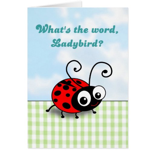 whats-the-word-ladybird-funny-ladybug-card-zazzle