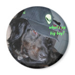 What's up big boy? Magnet