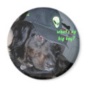 What's up big boy? Magnet by minx267 What's up big boy? Magnet
