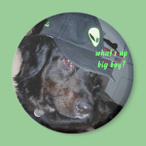 What's up big boy? Magnet