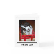 What's Up? card