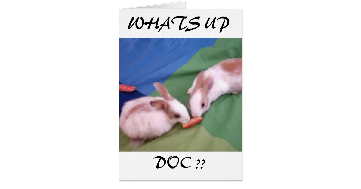 whats up doc essay How to write a strategic plan by you want to build on your company’s strengths, shore up the weaknesses, capitalize on the opportunities,. whats up doc essay How to write a strategic plan by you want to build on your company’s strengths, shore up the weaknesses, capitalize on the opportunities,.