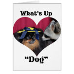 What's Up Dog What's Up Dog