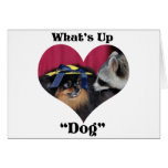 What's Up Dog What's Up Dog