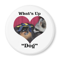 What's Up Dog magnets