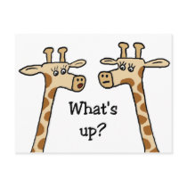 What's up? Giraffe postcards by tshirtfun What's up? Giraffe postcards