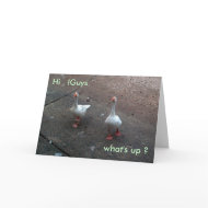 what's up ?, Hi , !Guys card