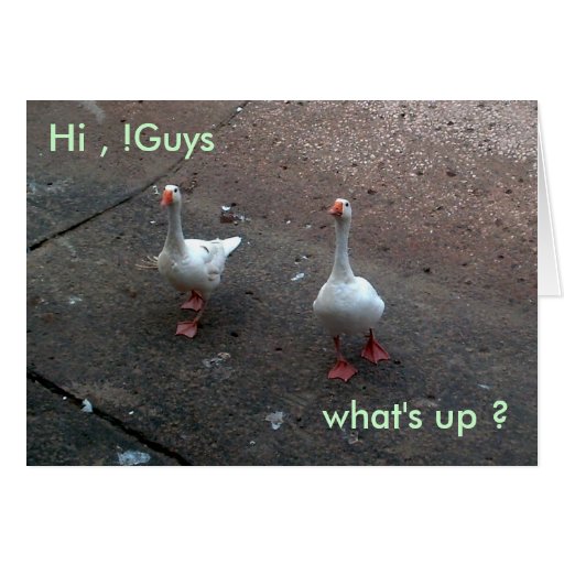 what's up ?, Hi , !Guys Card Zazzle