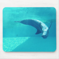 What's Up? mousepads by txgeckko What's Up? mousepads
