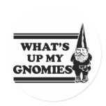 What's Up My Gnomies