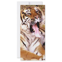 What's up_ rack cards by ELENNE What's up_ rack cards