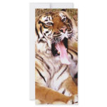 What's up_ custom rack card