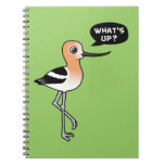 What's Up? Notebook