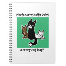 Whats wrong with being a crazy cat lady notebooks