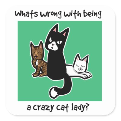 Whats wrong with being a crazy cat lady sticker