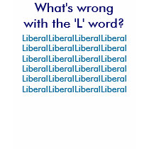 What's wrong with the L word? t-shirts