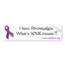 What's YOUR excuse bumper sticker bumper stickers