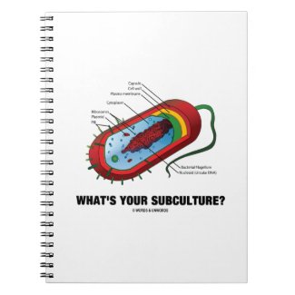 What's Your Subculture? (Prokaryote Bacterium) Journal