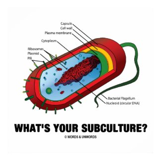 What's Your Subculture? (Prokaryote Bacterium) Print