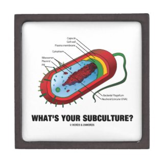 What's Your Subculture? (Prokaryote Bacterium) Premium Keepsake Boxes