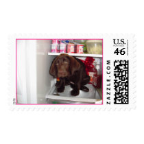 whatsfordinner postage by KMBstamper whatsfordinner postage