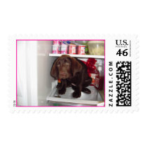 whatsfordinner postage by KMBstamper whatsfordinner postage