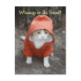 Whazup in da 'hood? post cards