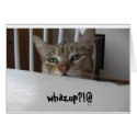 whazup puzzy cat?! cards
