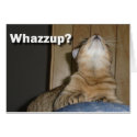 Whazzup? cards by GradualDazzle Whazzup? cards