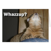 Whazzup? cards by GradualDazzle Whazzup? cards