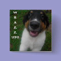 WHAZZUP?! Dog. buttons