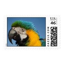 Whazzup! postage by djdevo Whazzup! postage
