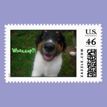 Whazzup?! postage stamps