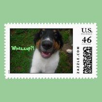 Whazzup?! postage postage