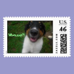 Whazzup?! postage postage