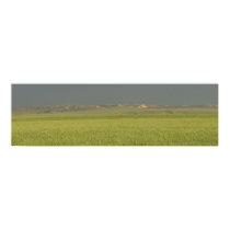 Wheat and Hills panorama posters