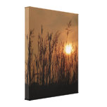 Wheat at Sunset - Vertical Gallery Wrapped Canvas