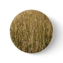 wheat buttons
