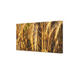 Wheat Field Agricultural Crop Sustenance Triptych Canvas Print