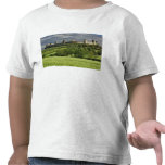 Wheat field and distant Monteriggioni, in the T-shirt