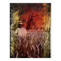 Wheat Field at Sunset posters by William63 Wheat Field at Sunset posters