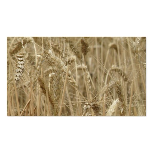 Wheat Field Business Card Templates (front side)