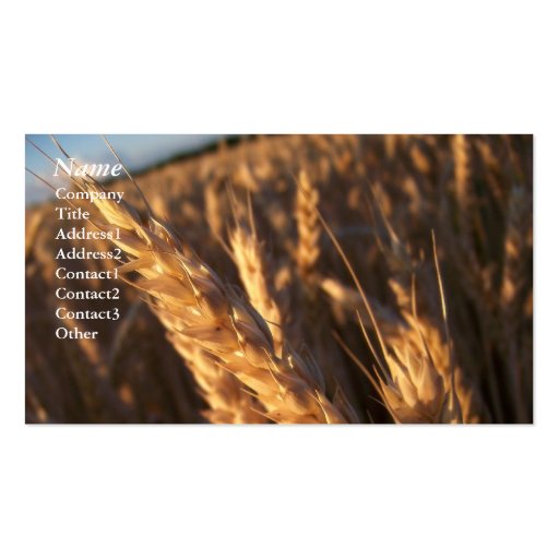 Wheat Field - Business Cards (front side)