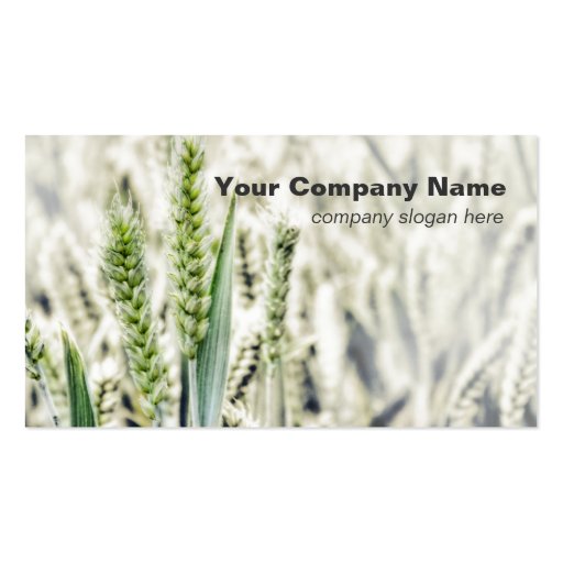Wheat Field Custom Business Cards (front side)