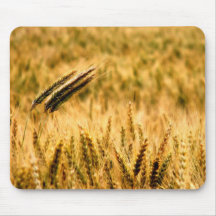 Wheat field mousepads