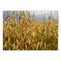 Wheat Field Note Card